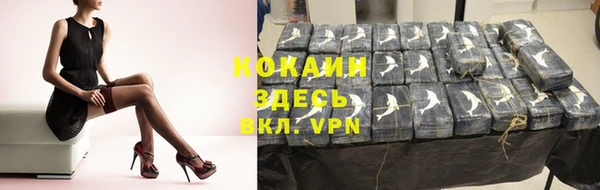 соль ск Алексин