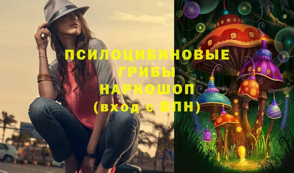 прущие грибы Нефтегорск