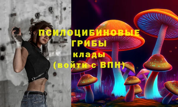 гидра Алексеевка