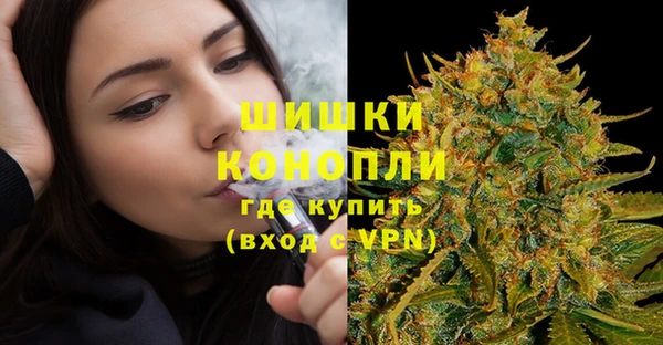 ГАЛЛЮЦИНОГЕННЫЕ ГРИБЫ Нефтекумск