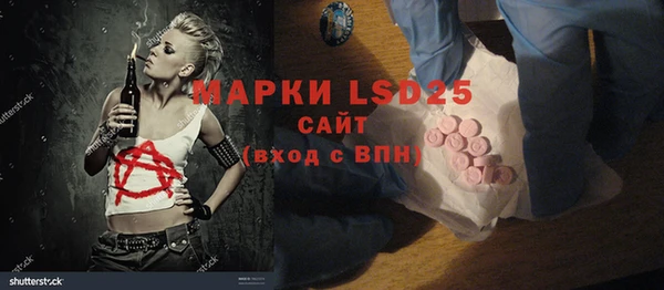 прущие грибы Нея
