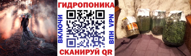 наркота Цивильск Конопля ГИДРОПОН